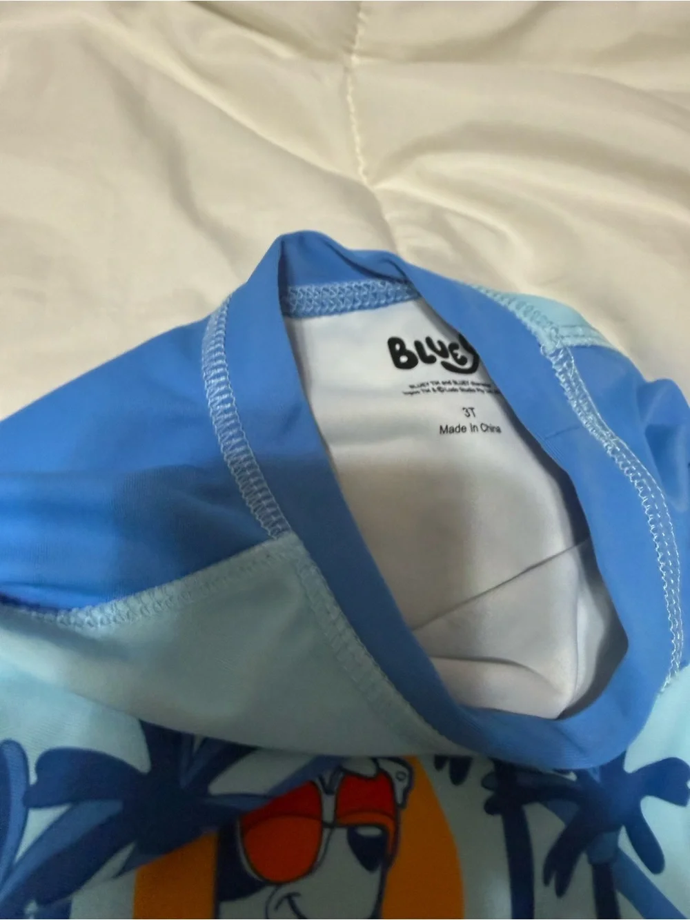 Bluey 3T  Boys swim trunks Rash Guard Set - Blue
